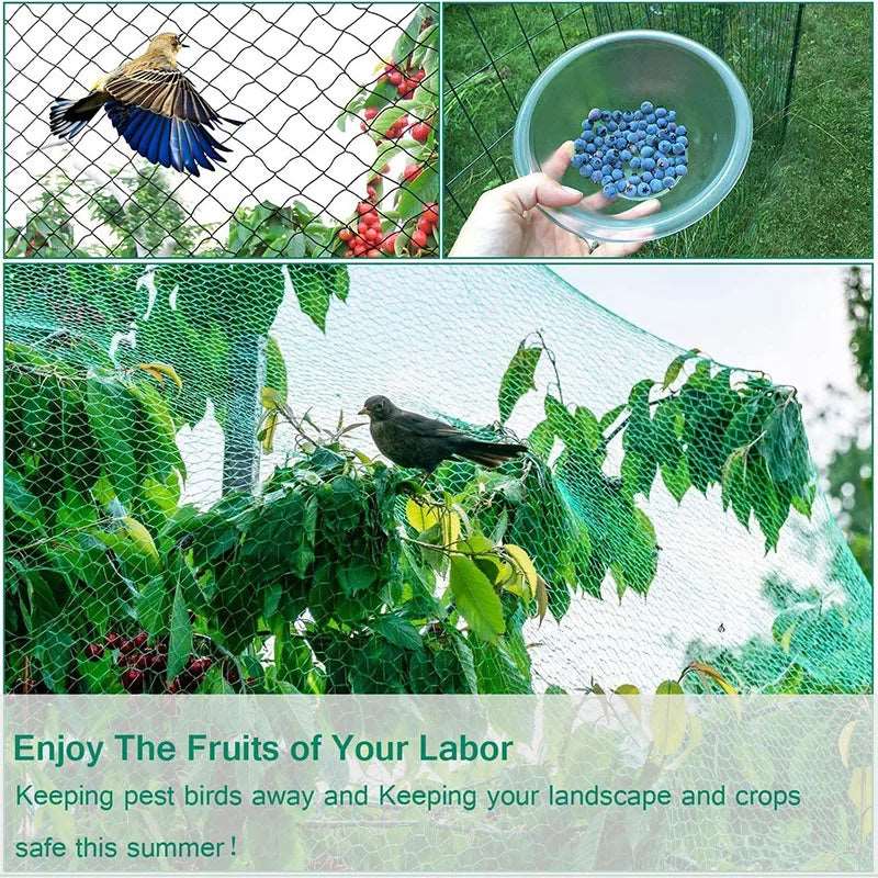 Green Anti Bird Protection Net