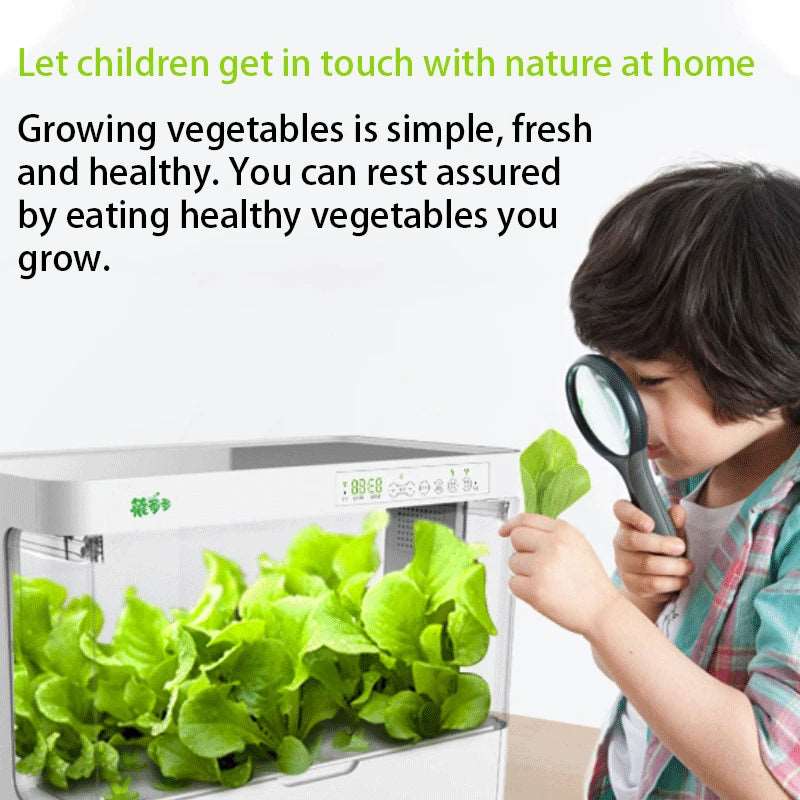 Intelligent Healthy Vegetable Planting Box