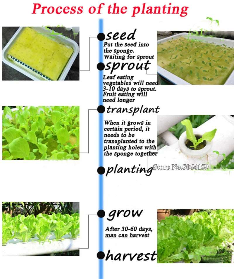 Hydroponic System with Nest Basket Water Pump and Sponge 