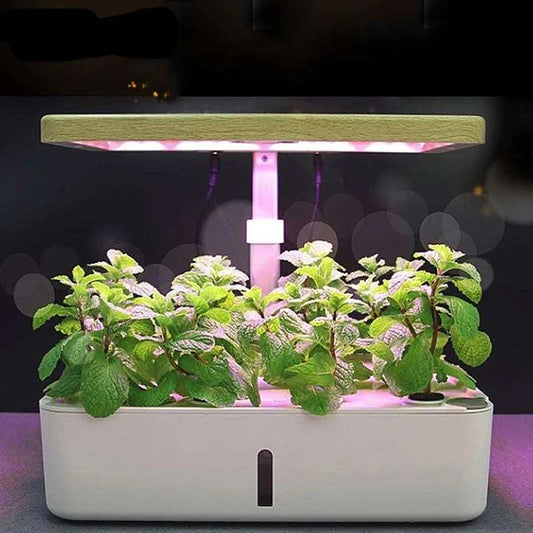 Intelligent Hydroponic Vegetable Planting Machine