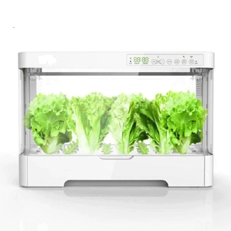 Intelligent Healthy Vegetable Planting Box