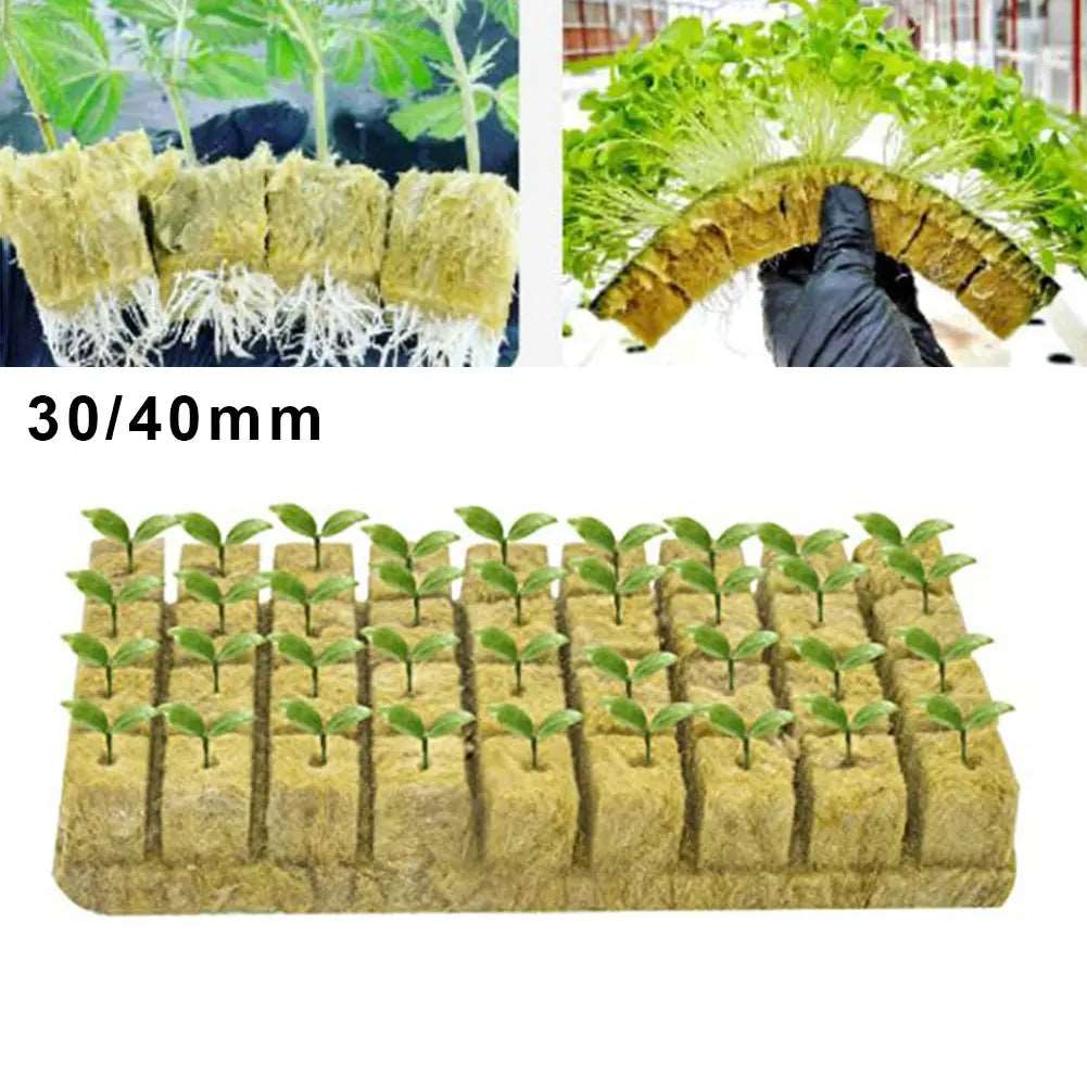Hydroponic Grow Media Starter Plant Rock Wool Cubes