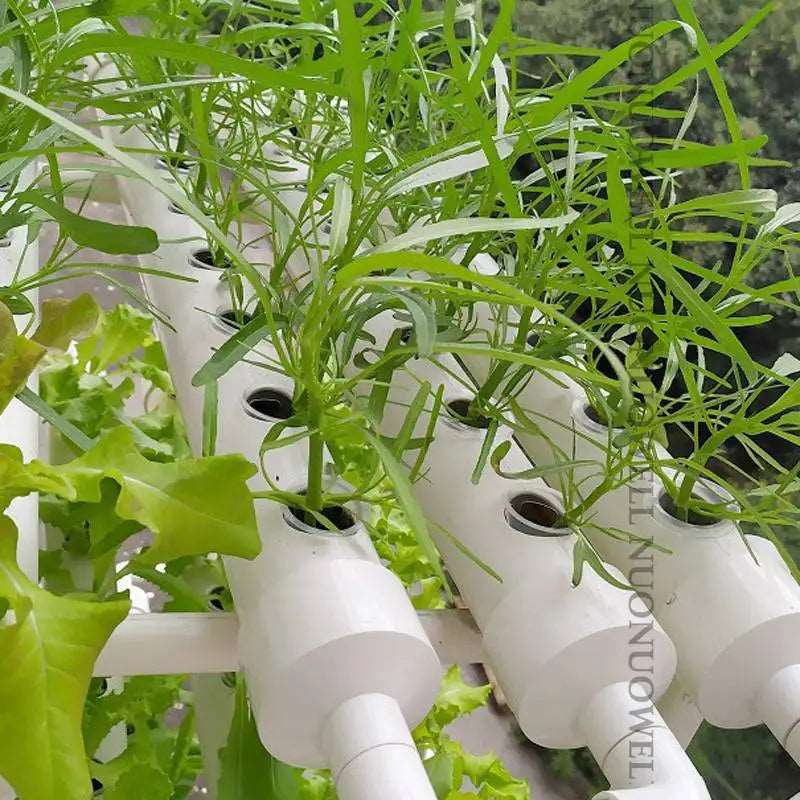 Garden Vegetable Soilless Cultivation Polyurethane sponge