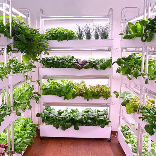 Vertical Smart Indoor Growing Hydroponics Growing System