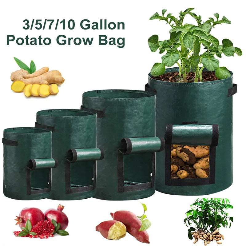 3/5/7/10 Gallon Plant Growing Bags