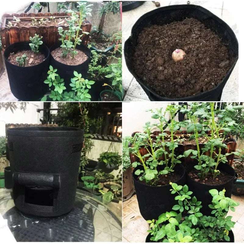 3 Size Felt Plant Strong Grow Vegetable Growing Bags