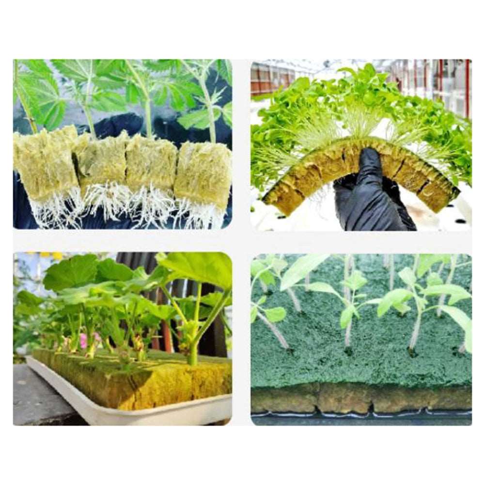 Hydroponic Grow Media Starter Plant Rock Wool Cubes