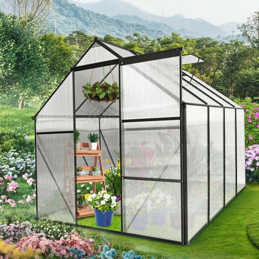 Anchor Aluminum Heavy Duty 6x8 FT Polycarbonate Greenhouse high-qualit