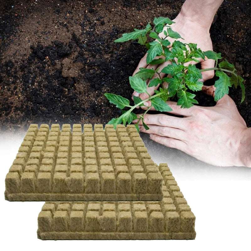 Hydroponic Grow Media Cubes Plant Seedling Block