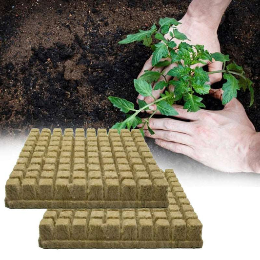 Hydroponic Grow Media Cubes Plant Seedling Block
