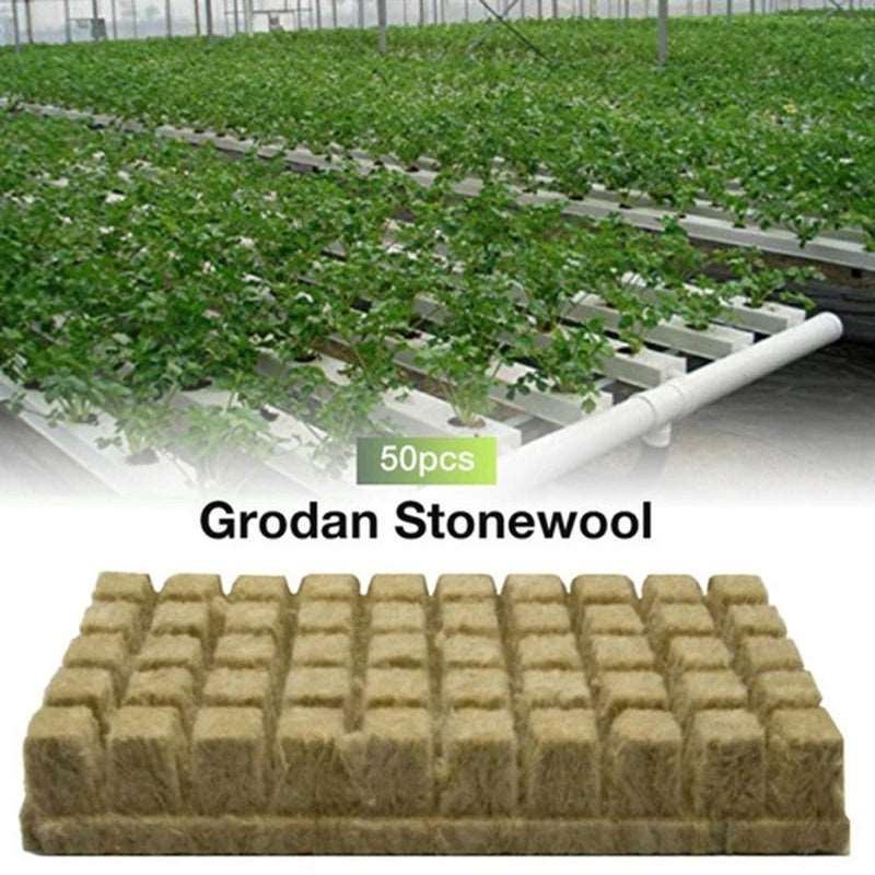 Hydroponic Grow Media Cubes Plant Seedling Block