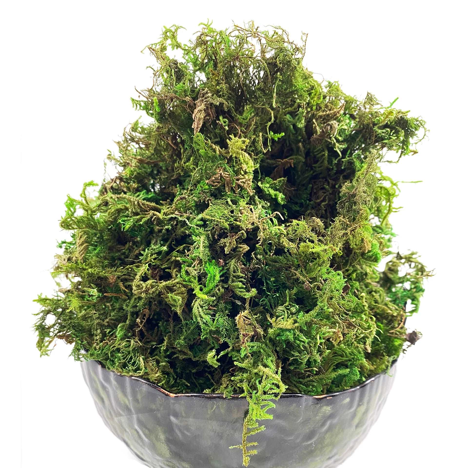 Artificial Moss Green for Potted Plant Orchid Mix Faux Sphagnum Peat Moss Pole DIY Arts Floral Garden Decoration