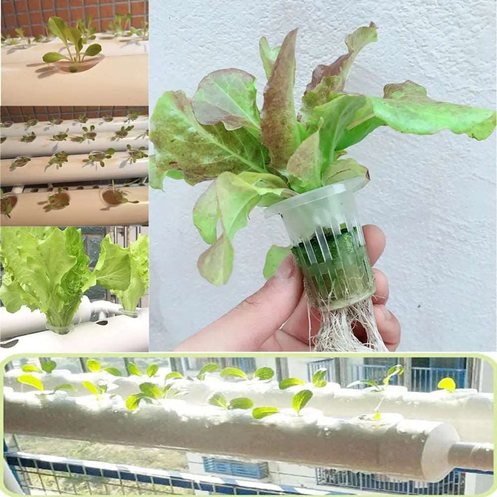 Hydroponic System with Nest Basket Water Pump and Sponge 