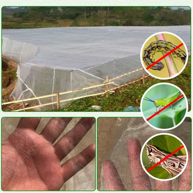 Plant Vegetables Insect Protection Anti-Bird 60 Meshs Net