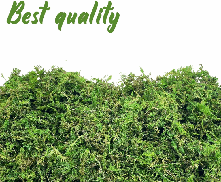 Artificial Moss Green for Potted Plant Orchid Mix Faux Sphagnum Peat Moss Pole DIY Arts Floral Garden Decoration