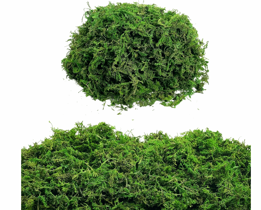 Artificial Moss Green for Potted Plant Orchid Mix Faux Sphagnum Peat Moss Pole DIY Arts Floral Garden Decoration