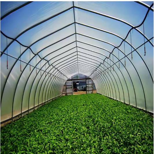 Serre Agricole Région Tropicale - Single Span Greenhouses