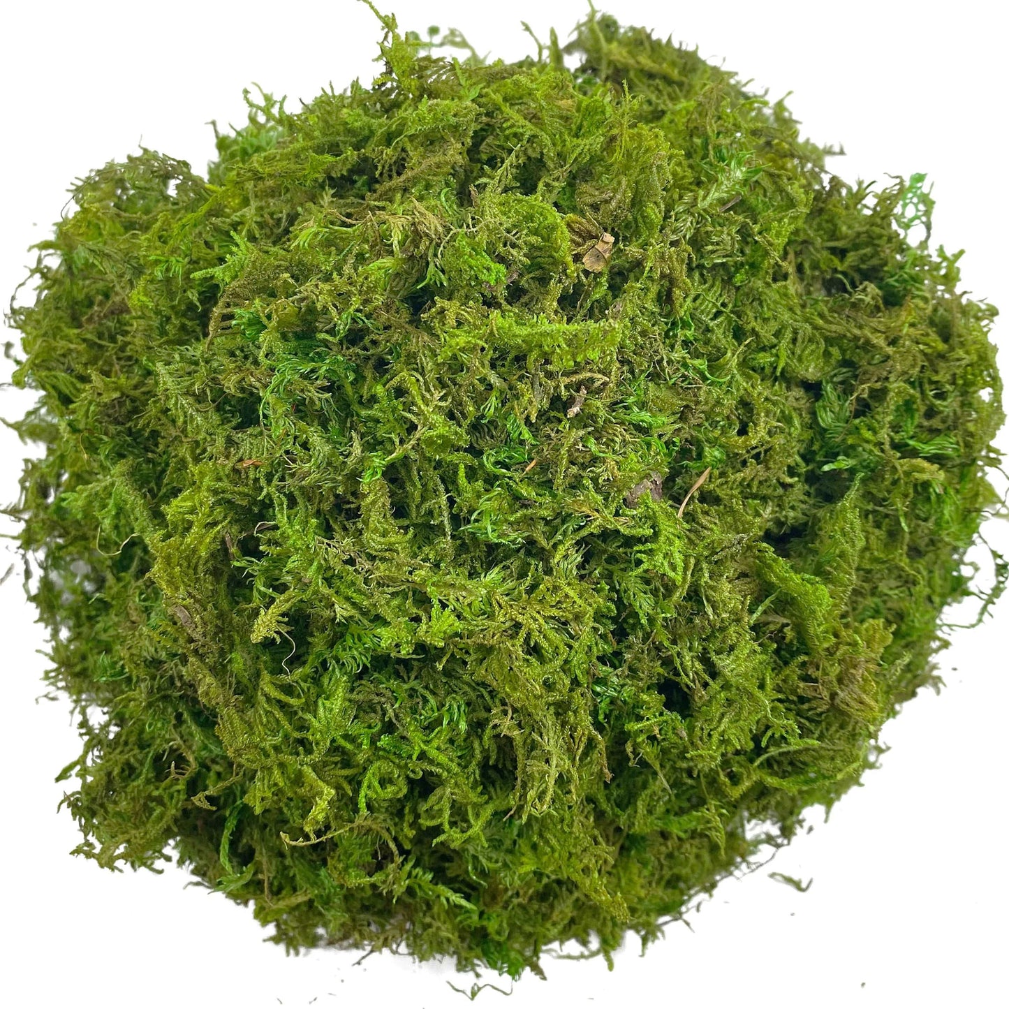 Artificial Moss Green for Potted Plant Orchid Mix Faux Sphagnum Peat Moss Pole DIY Arts Floral Garden Decoration