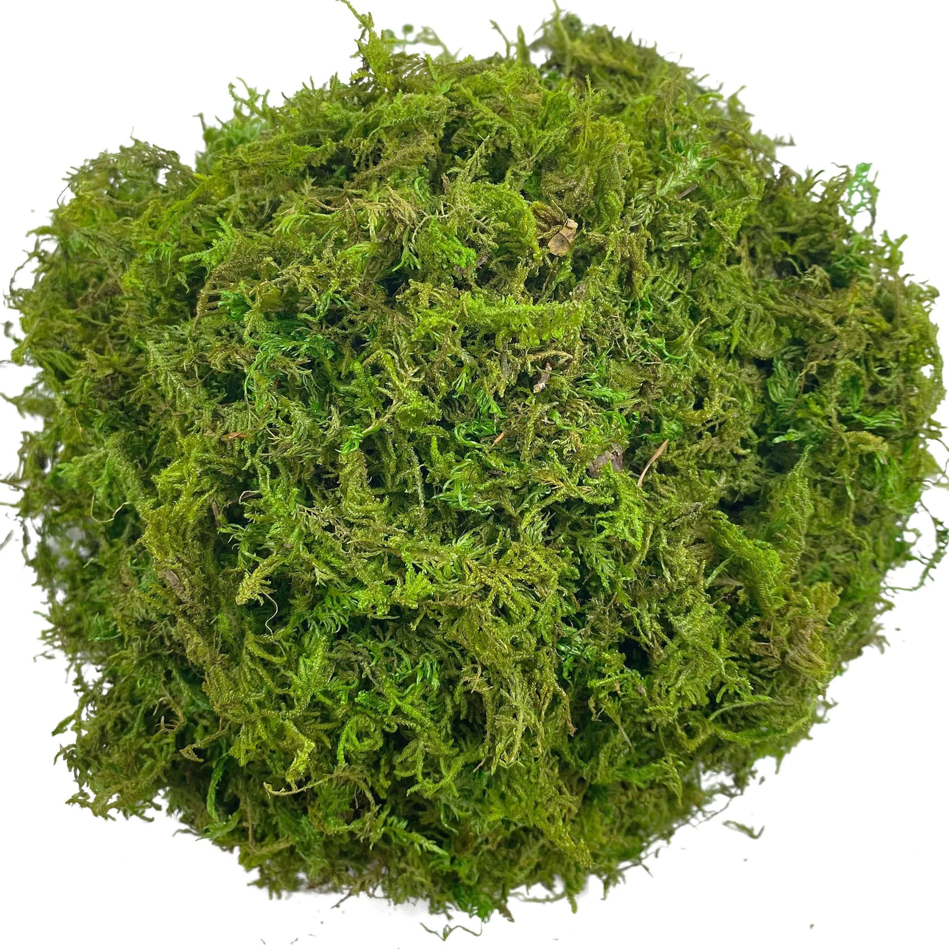 Artificial Moss Green for Potted Plant Orchid Mix Faux Sphagnum Peat Moss Pole DIY Arts Floral Garden Decoration