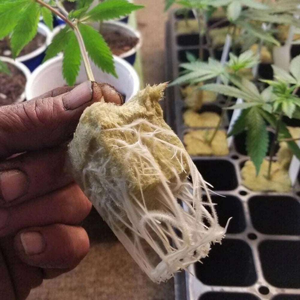 Hydroponic Grow Media Starter Plant Rock Wool Cubes